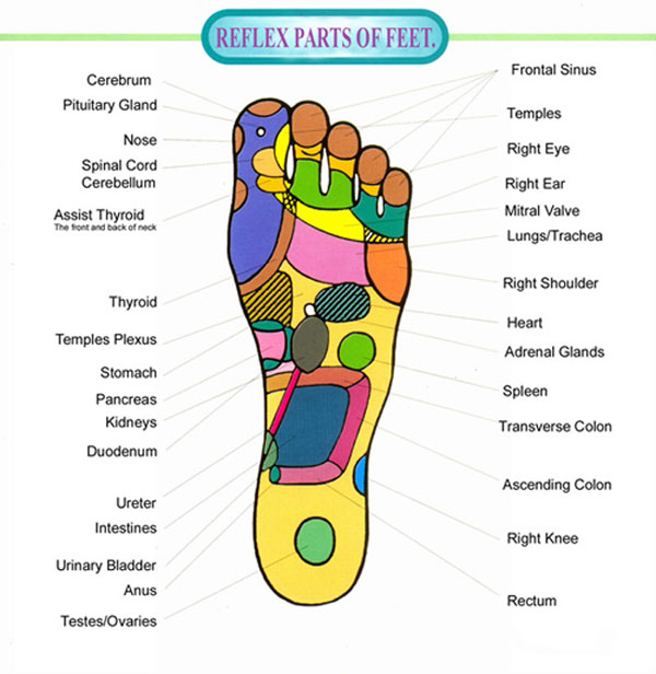 Sexual Pressure Points On Womens Feet 84