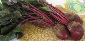 Red Beets from my garden