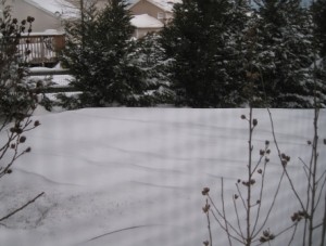 It finally stopped snowing - 4 ft snow drift in the back yard