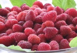 Fresh Raspberry Crop
