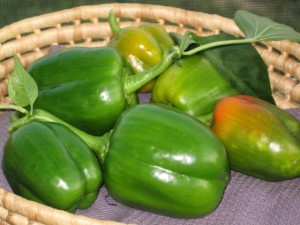 Free Green Peppers crop