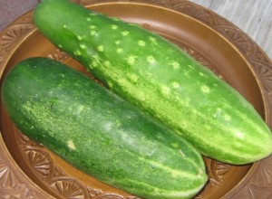 Freedom cucumbers