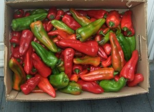 Box of peppers