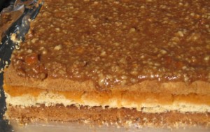 Apple Torte with caramel glaze
