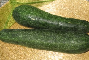 regular zucchini