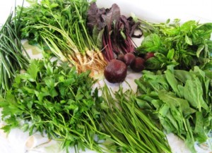 Final Fall Crop of herbs and veggies