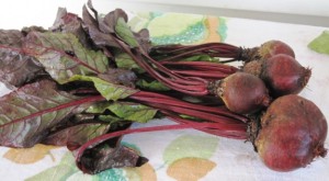 Red Beet roots and tops