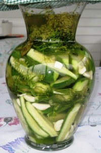 Homemade Pickles – Very Simple Recipe