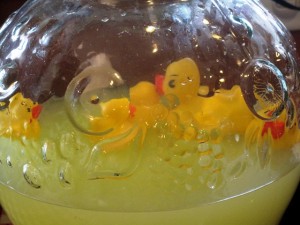 The swimming duckies - close up view