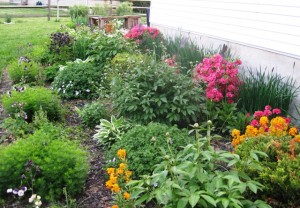 Spring Garden 2014