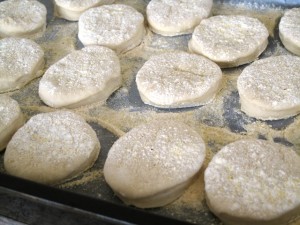 Muffin discs ready to rise